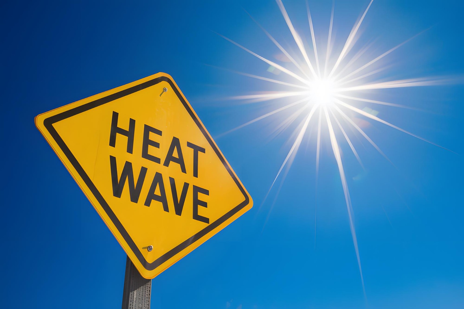 Severe Heatwave Grips Punjab, Temperatures Cross 42°C, IMD Issues Alert